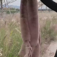 Scarf Cashmere